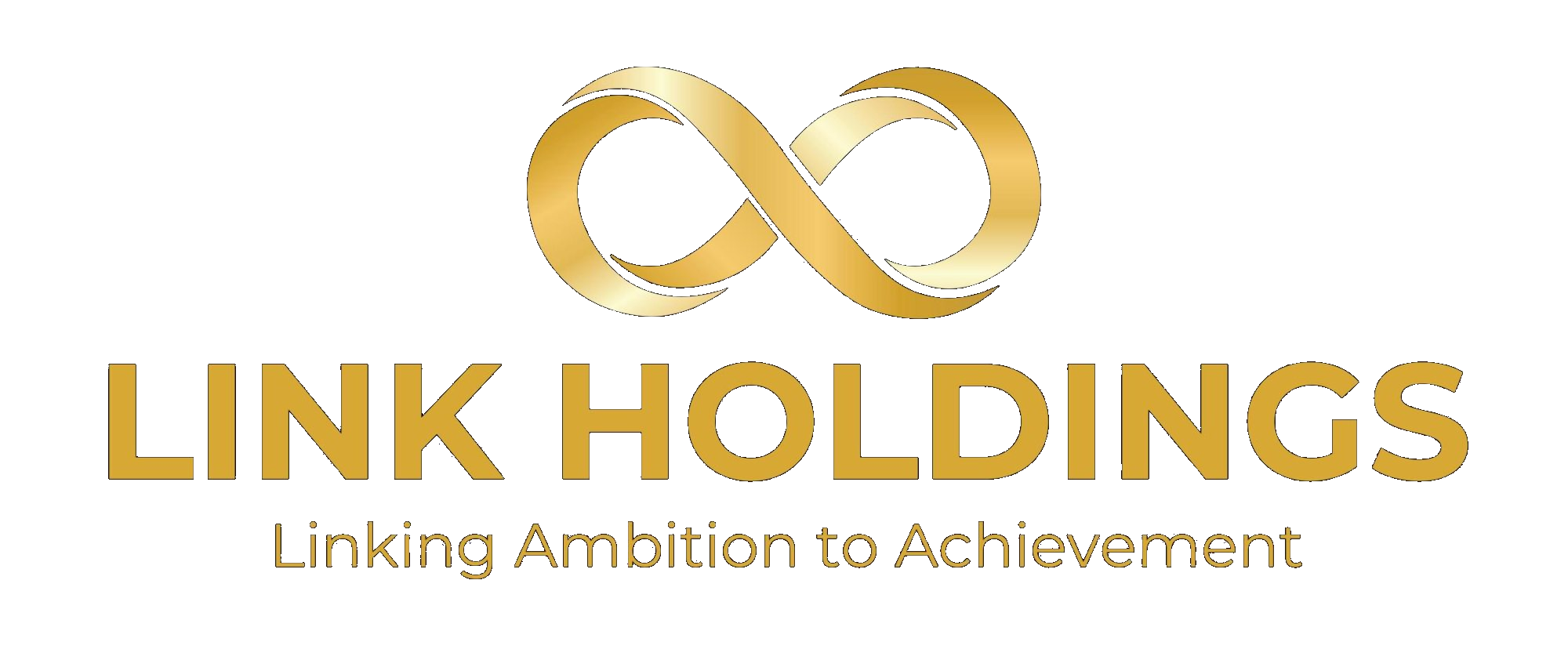 Link Holdings Group